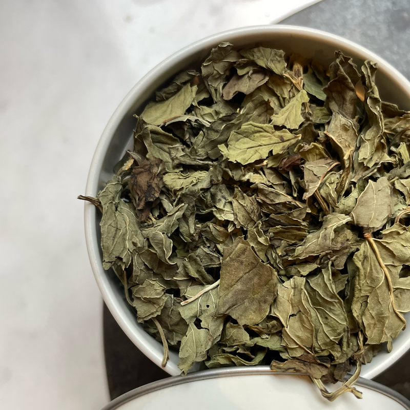Berber mint